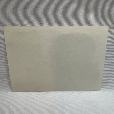 Disney Aladdin Jasmine Vending Machine Sticker Prism 1990's Vintage Rare