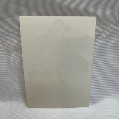 Disney Aladdin Jasmine Vending Machine Sticker Prism 1990's Vintage