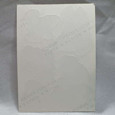 1990 Kodak Disney Little Mermaid Vending Machine Sticker Card Ariel & Eric Rare