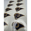 NFL St Louis Rams Temporary Tattoo Pack Of 10 Face Body Tattoos Football Saint