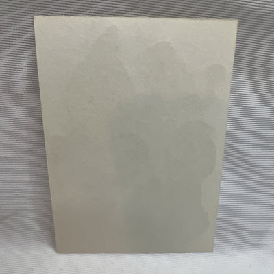 Disney Aladdin Jasmine Vending Machine Sticker Prism 1990's Vintage Rare