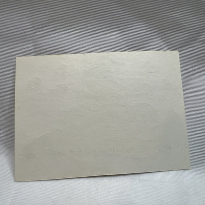 Disney Aladdin Jasmine Vending Machine Sticker Prism 1990's Vintage Rare