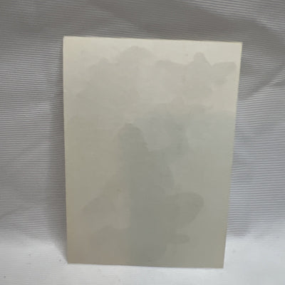 Disney Aladdin Jasmine Vending Machine Sticker Prism 1990's Vintage Genie