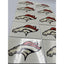 NFL Denver Broncos Temporary Tattoo Pack Of 10 Face Body Tattoos Football Bronco