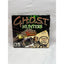 Ghost Hunters The Haunting of Majesty Manor PC Tested Video Game Used