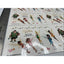 Walt Disney Pictures Peter Pan Tinkerbell Tattoo Temporary Tattoos Fairies Fairy