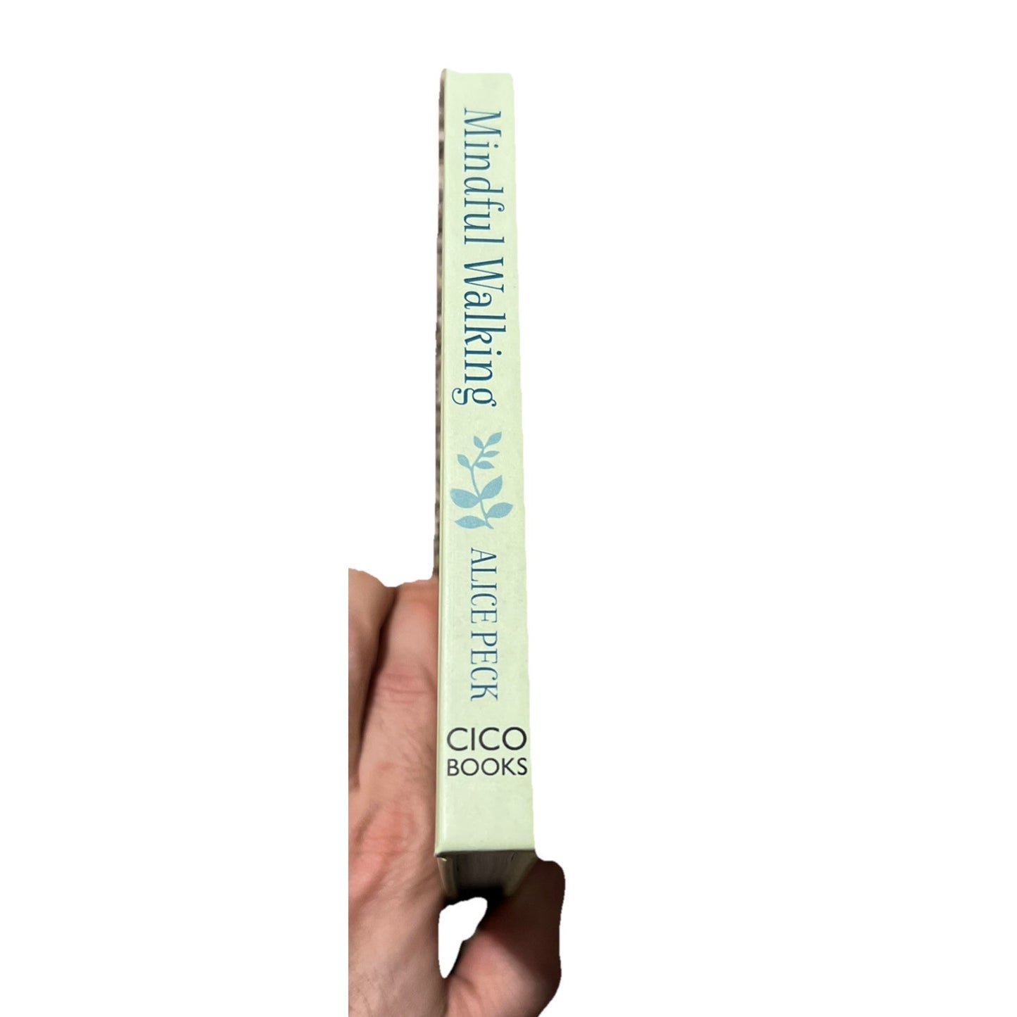 Mindful Walking: The Secret Language of Nature, Peck, Alice, Used; Very Good Boo