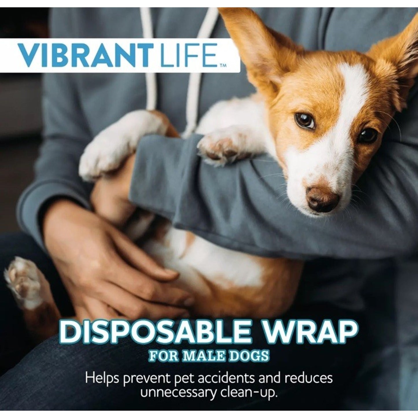 Dog Vibrant Life Disposable Male Wraps for Dogs Puppies Size Large Diapers