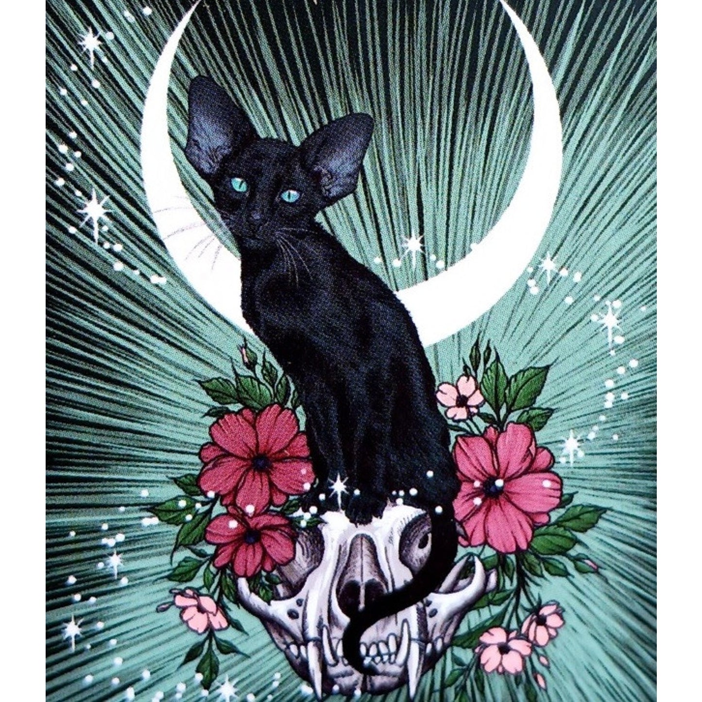 Witch’s Familiar Runic Oracle 24 card Deck and Guide Cards by Noctua Athene New