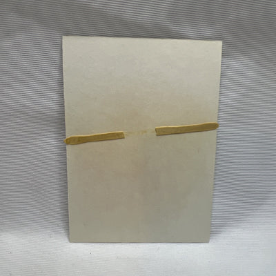 Disney Aladdin Jasmine Vending Machine Sticker Prism 1990's Vintage